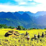 2 Days Pu Luong Nature Retreat - What’s Included and What to Expect
