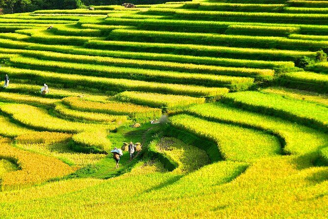 2 Days Pu Luong Offbeat Trekking Best for Mountain Lovers - Final Thoughts: Is This Tour for You?