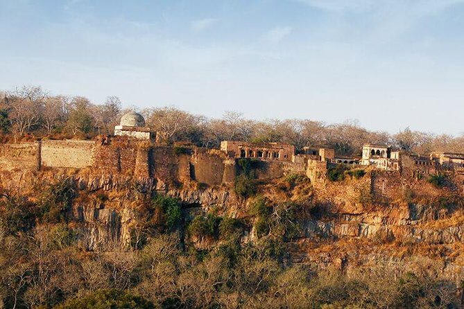 2 Days Ranthambore Tiger Safari with Tickets - Day 2: The Heart of Wildlife - Ranthambore National Park