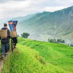2-Days Sapa Trekking and Overnight in Tavan Village - Who Is This Tour Best Suited For?
