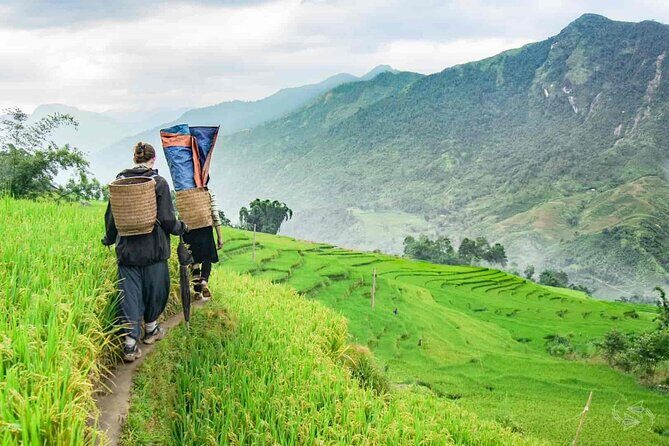 2-Days Sapa Trekking and Overnight in Tavan Village - Who Is This Tour Best Suited For?