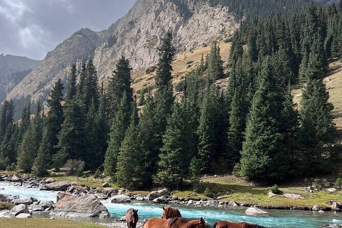 2 Days tour to Issyk Kul lake with Yurt Stay - Authentic Experiences and Hidden Gems