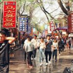 2 Days Xian Tour from Chengdu by Bullet Train - Practical Details and Insights