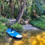 2 Hour Guided Stand Up Paddle Board Tour along Upper Manatee River - The Wildlife and Scenic Highlights