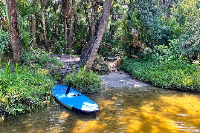2 Hour Guided Stand Up Paddle Board Tour along Upper Manatee River - The Wildlife and Scenic Highlights