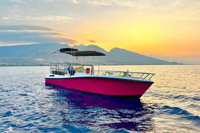 2 hour Lahaina Sunrise Whale Watch - The Itinerary and What to Expect