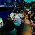 2-Hour Maldives Submarine Tour From Male - FAQ
