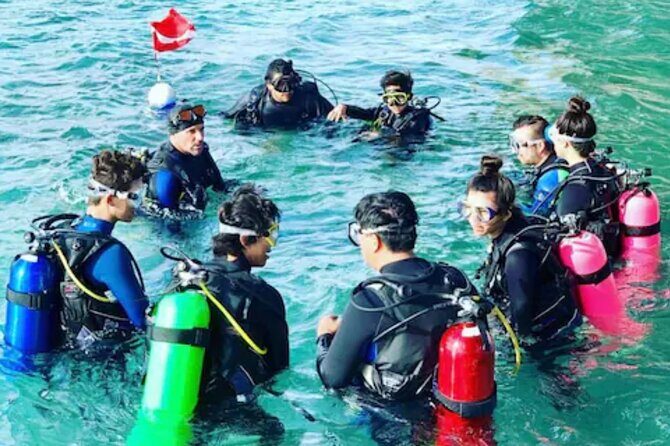 2-Hour Scuba Diving Experience for Beginners in Central Florida - What to Expect from the Tour