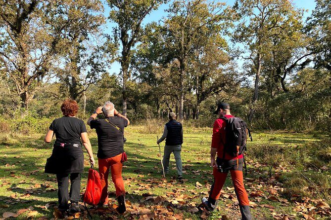 2 Hours Nature Walk in Chitwan National Park - The Detailed Experience