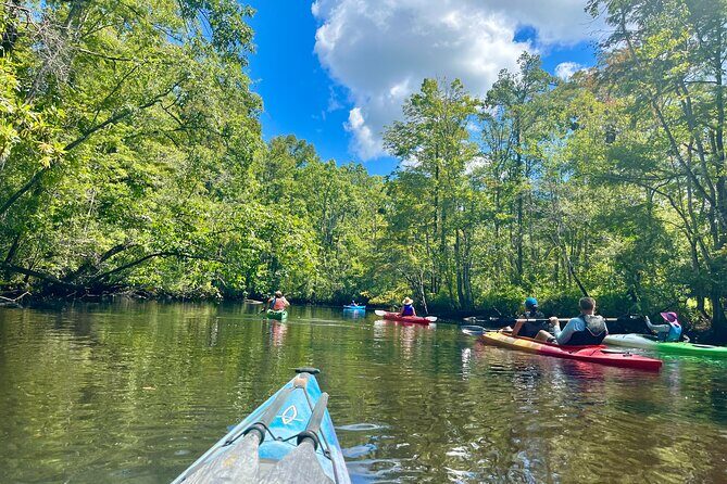 2-Hr Blackwater Kayak Tour just outside Charleston - Key Points
