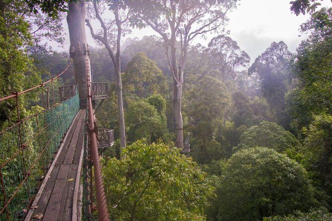 2-Night Danum Valley Borneo Rainforest Lodge Hiking and Wildlife Adventure - An In-Depth Look at the Danum Valley Tour