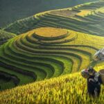 2-Night Sapa Tour with Fansipan Peak by Bus from Hanoi - Authentic Experiences and Practical Details