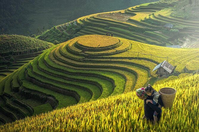 2-Night Sapa Tour with Fansipan Peak by Bus from Hanoi - Authentic Experiences and Practical Details