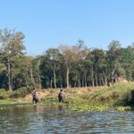 2 Nights 3 Days Chitwan Jungle Safari Tour - Who Will Love This Tour?