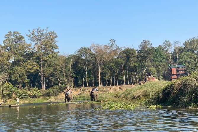 2 Nights 3 Days Chitwan Jungle Safari Tour - Who Will Love This Tour?