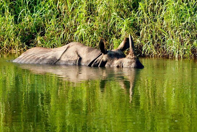 2 Nights Chitwan Luxury Tour from Kathmandu or Pokhara - Authentic Experiences You’ll Remember