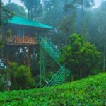 2 Nights Munnar Treehouse Escape with Private Car- Iris Holidays - A Deep Dive into the Munnar Treehouse Experience