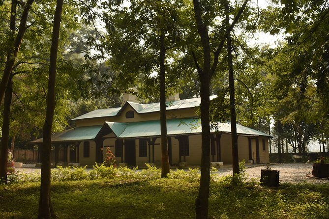2 Nights Stay at Dhikala Zone in Jim Corbett National Park - Authentic Experiences from Reviewers