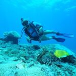 2 or 3 dives in Nusa Lembongan and Penida, for certified diver (in Lembongan) - Final Thoughts