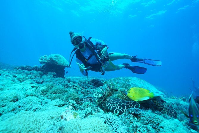 2 or 3 dives in Nusa Lembongan and Penida, for certified diver (in Lembongan) - Final Thoughts