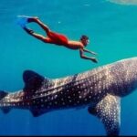 2025 Bohol Customized Tours - Authentic Experiences and Insights from Reviewers