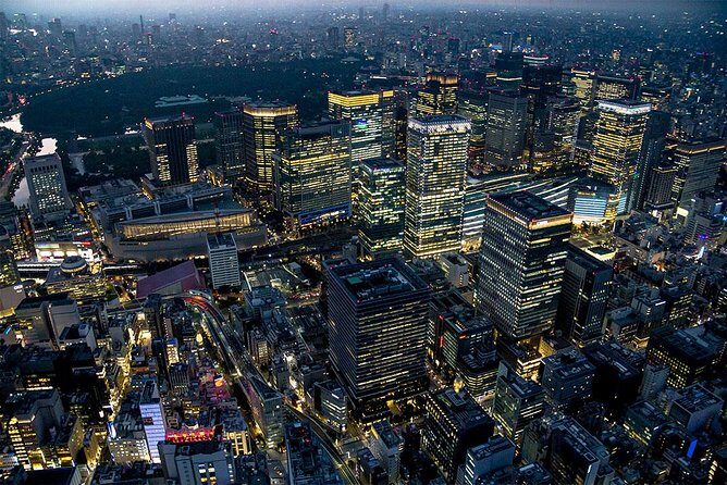 25 mins Tokyo Skytree + Downtown City Lights Helicopter Tour - Who Should Consider This Tour?