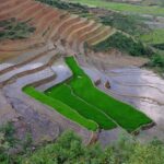 2D1N Buffalo trek by Hmong Sister House and Trekking - An In-Depth Look at the 2D1N Buffalo Trek