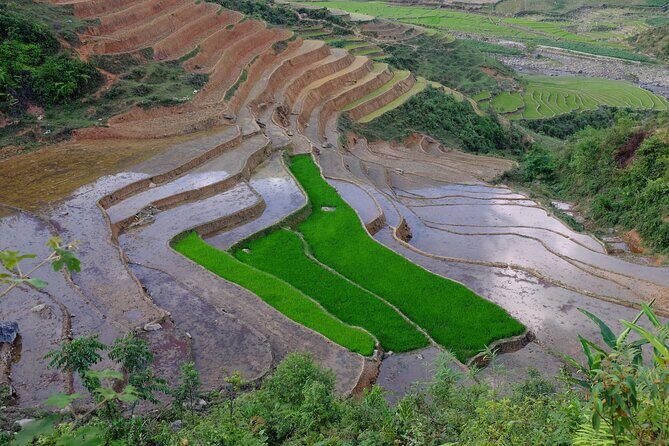 2D1N Buffalo trek by Hmong Sister House and Trekking - An In-Depth Look at the 2D1N Buffalo Trek