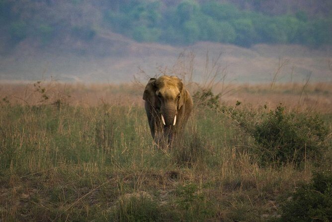 2N Jim Corbett National Park (Dhikala Zone) - The Value: Is It Worth It?