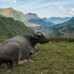 3 Day 2 Night Trek - The Itinerary: A Day-by-Day Breakdown