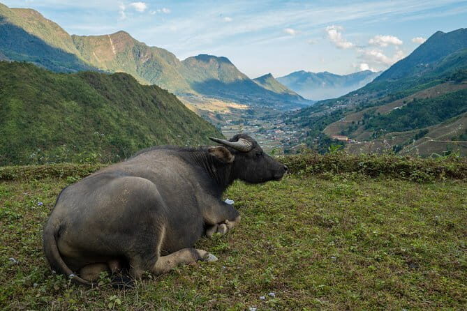3 Day 2 Night Trek - The Itinerary: A Day-by-Day Breakdown