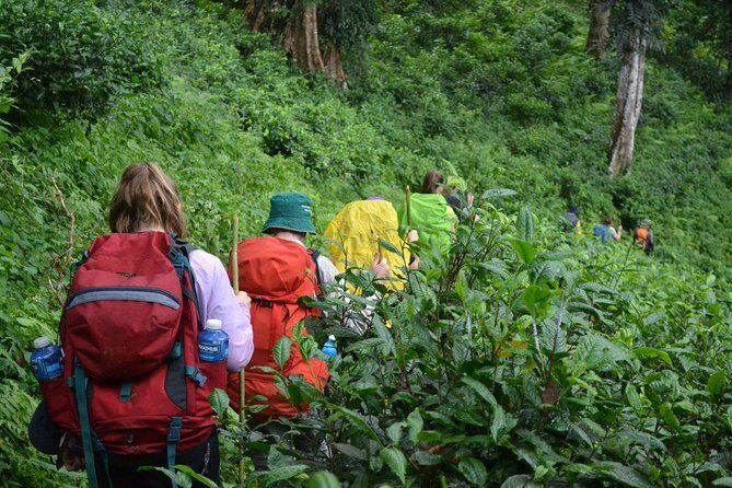 3-Day Chiang Dao Mountain Trek - A Deep Dive into the Itinerary