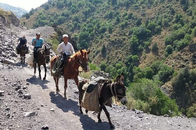 3-Day Chimgan Trekking Tour - Final Thoughts