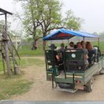 3-Day Chitwan National Park Jungle Safari Tour Package with Pick Up - The Sum Up