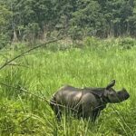3-Day Guided Safari Tour in Chitwan National Park in Nepal - Authentic Experiences and Tips from Reviewers