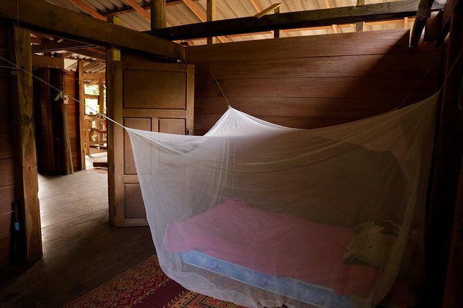3-Day Kindred Spirit Elephant Sanctuary Chiang Mai - Whats Included and Whats Not