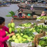 3-Day Mekong Delta Tour including: Cai Rang floating market - Who Would Love This Tour?