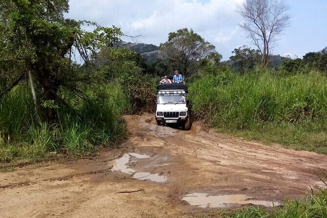 3 Day Private Tour from Negombo to Sigiriya and Kandy - Practical Considerations