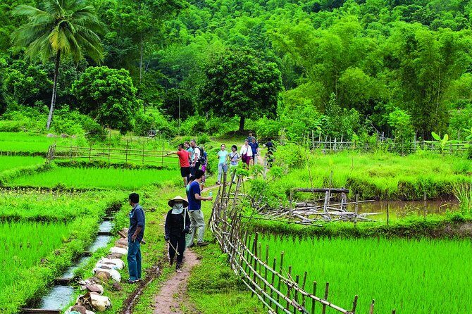 3-day Pu Luong Adventure:Trekking, Waterfall from Hanoi - A Closer Look at the 3-Day Pu Luong Adventure
