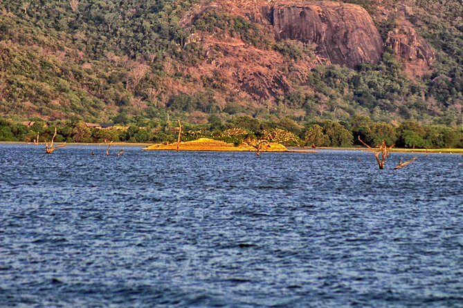 3 Day SriLanka Cultural Tour:Dambulla/ Sigiriya/ Polonnaruwa / Minneriya/ Kandy - Authentic Experiences from Tour Reviews
