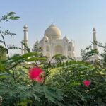 3-Day Taj Mahal Sunrise, Delhi & Ranthambore Tiger Safari tour - Transportation, Accommodation, and Guides