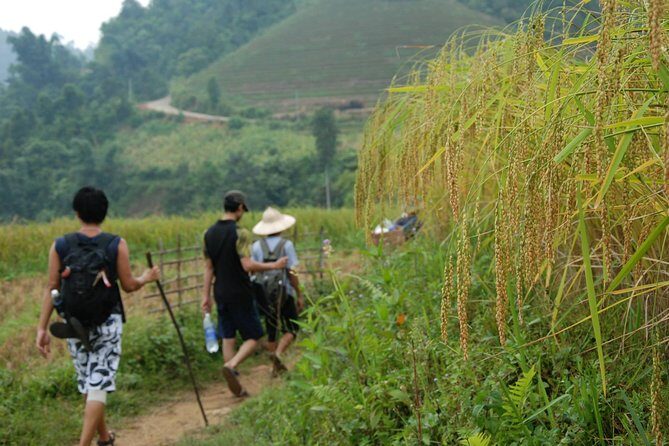 3-Day Trek in Amazing Muong Hoa Valley & ethnic Homestay - Who Is This Tour Best For?