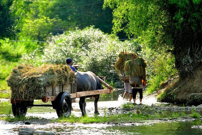 3-Day Trekking In Pu Luong Nature Reserve Private Tour - What’s Included and What’s Not