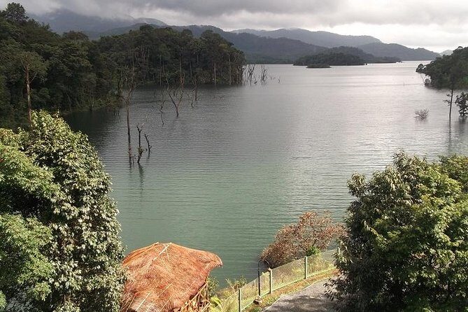 3-Day Wayanad Tour from Bangalore - What Makes This Tour Stand Out?