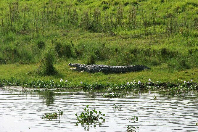 3 Days and 2 Nights Chitwan National Park Safari Tour in Pokhara - Exploring the Itinerary in Detail