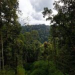 3 Days Bukit Lawang Tour (Happy Jungle) - What Makes This Tour Stand Out?