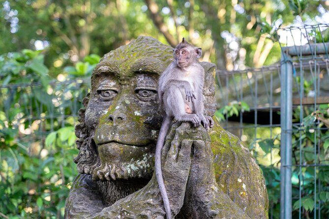 3 Days for the best of Ubud Private Tour - Who Will Love This Tour?
