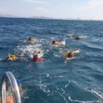 3 Days Komodo island Tour - A Detailed Look at What the Tour Offers