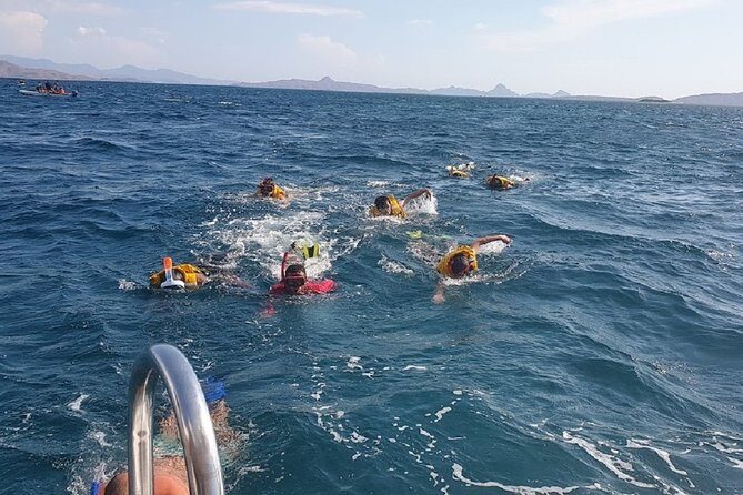 3 Days Komodo island Tour - A Detailed Look at What the Tour Offers