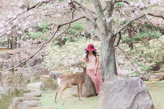 3 Days Private Osaka Kyoto and Nara Tour with English Driver - Practical Tips for Making the Most of the Tour